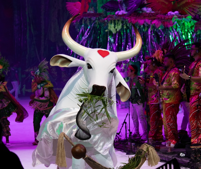 Com o grito de “Diga ao povo que avance!”, Garantido abre o 58º Festival de Parintins com uma Lenda Amazônica de tirar o fôlego e problemas na parte musical.